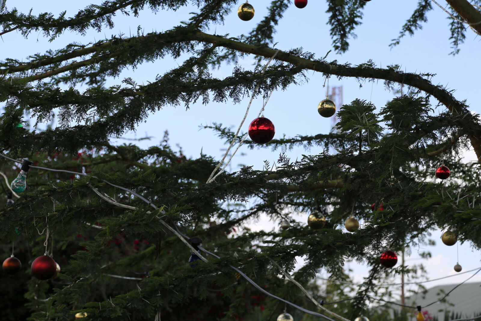 Canon EF 24-105mm F4L IS USM sample photo