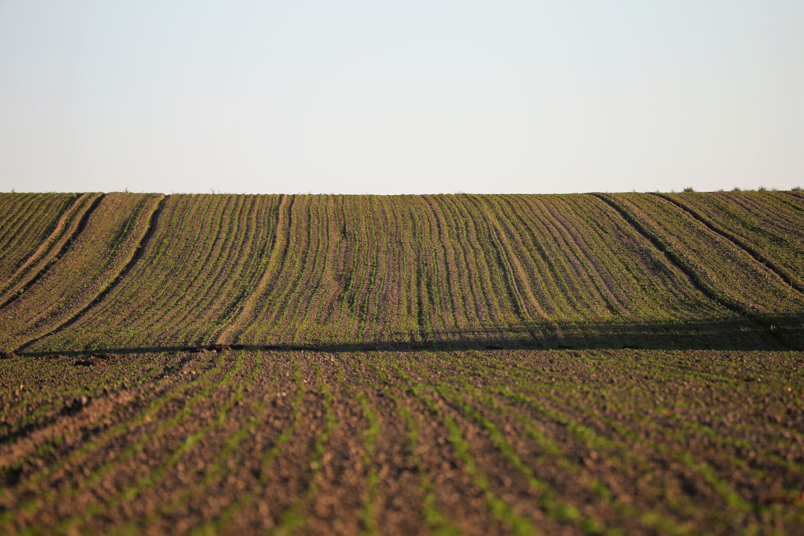 Canon EOS 6D + Canon EF 70-300 F4-5.6 IS II USM sample photo. Agriculture, field, landscape photography