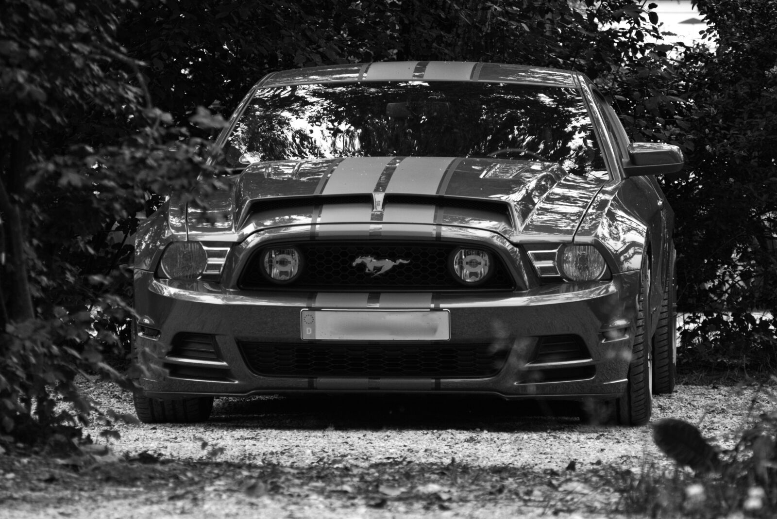55.0-200.0mm f/4.0-f/5.6 sample photo. Auto, pkw, sports car photography