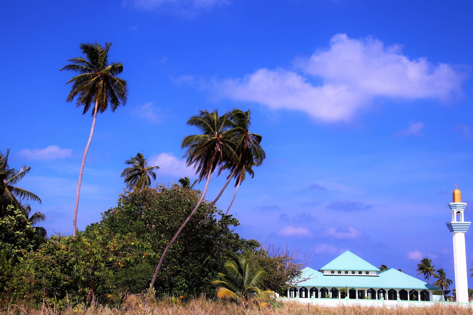 Canon EOS 80D sample photo. Maldives, sky, blue photography