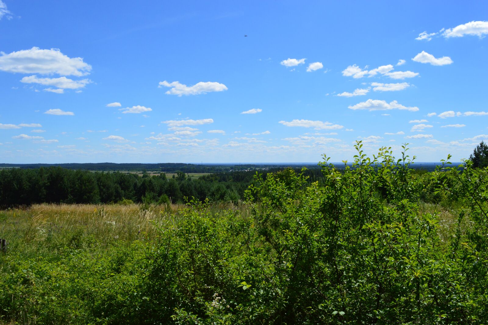 Nikon D3200 sample photo. Mite, landscape, nature photography