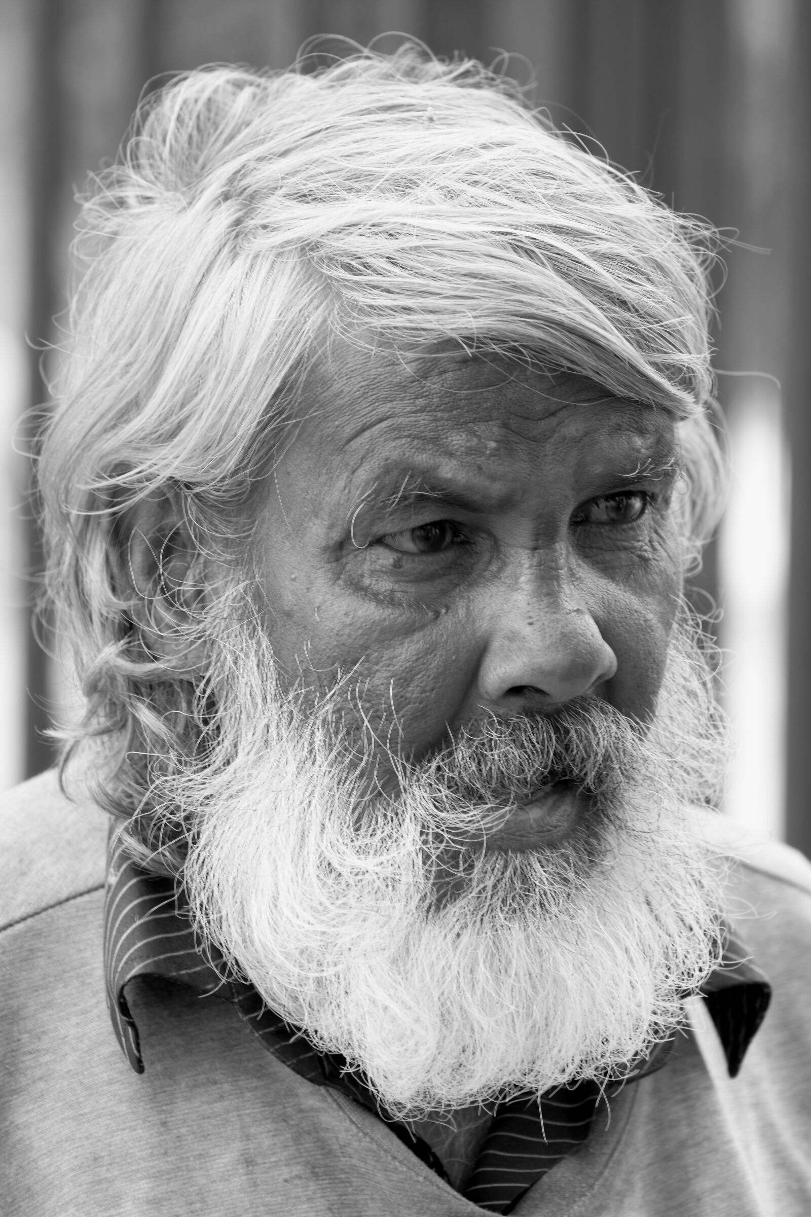 Nikon D7200 sample photo. Old man, portrait, man photography