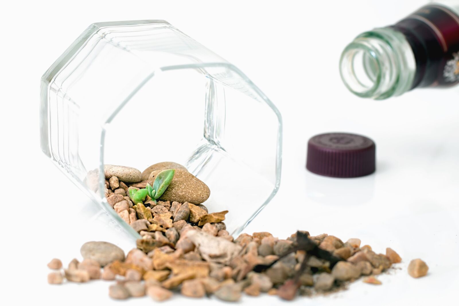 Canon EOS 70D sample photo. Stone, leaf, glass, bottle photography