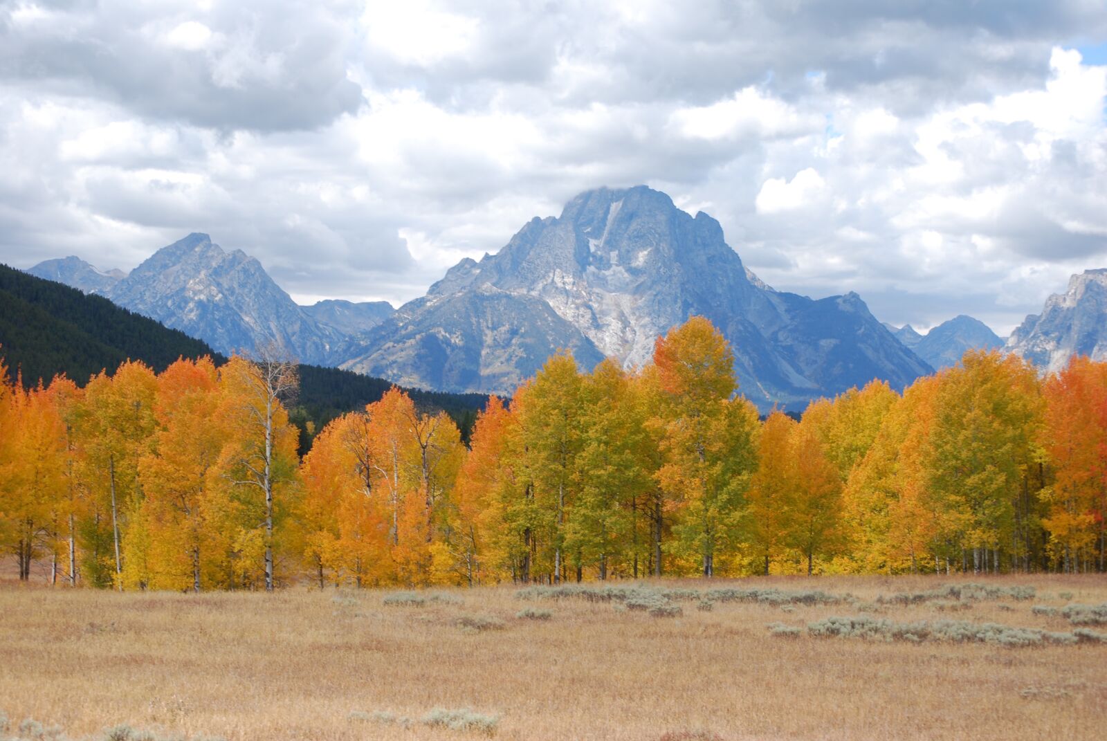 Nikon D60 sample photo. Aspen, storm, mountains photography