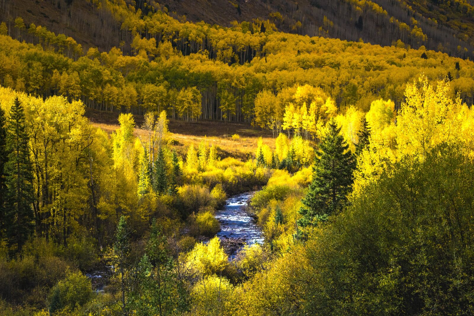 Nikon D3300 sample photo. Colorado, fall leaves, mountains photography