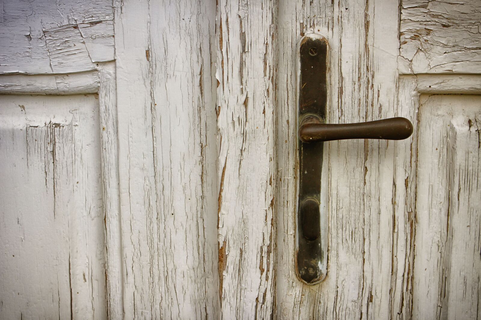 Canon EOS 100D (EOS Rebel SL1 / EOS Kiss X7) sample photo. Door, wood, door knob photography