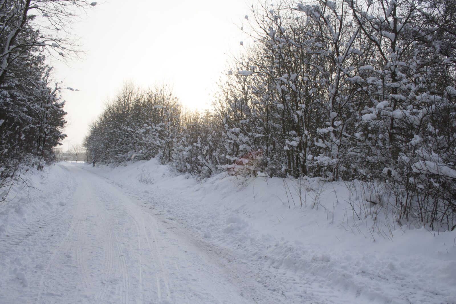 Canon EF-S 18-55mm F3.5-5.6 II sample photo. Winter, snow, cold photography