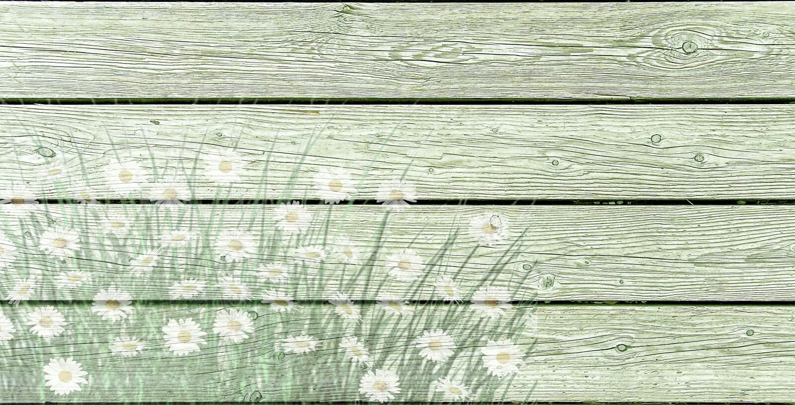 Nikon D3200 sample photo. On wood, daisies, wooden photography