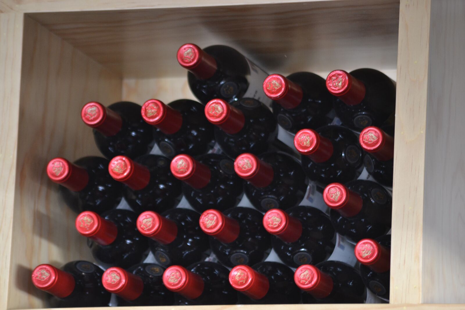 Nikon D3100 sample photo. Tasting, wine, red wine photography