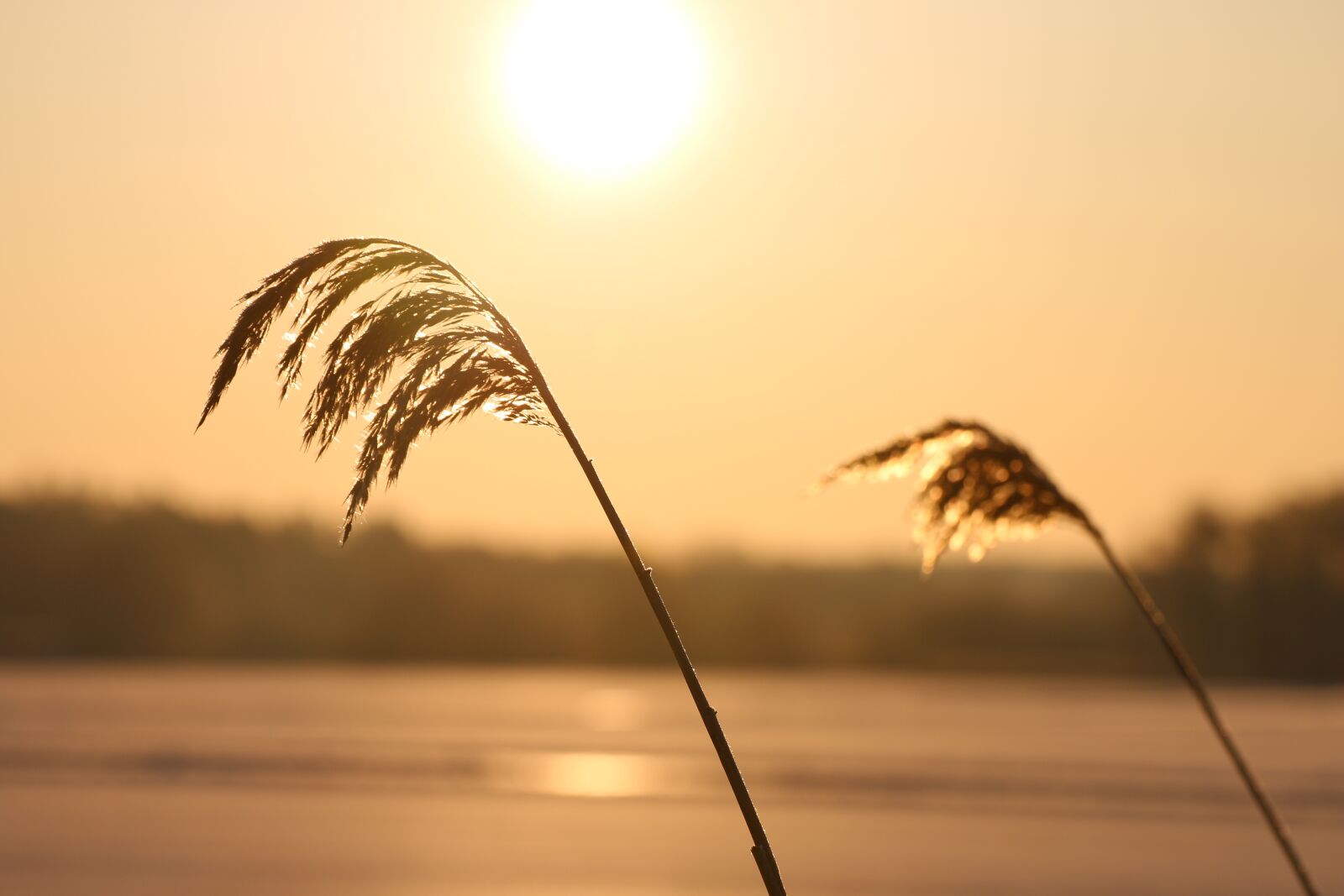 Canon EOS 70D sample photo. Sunrise, solar, winter photography