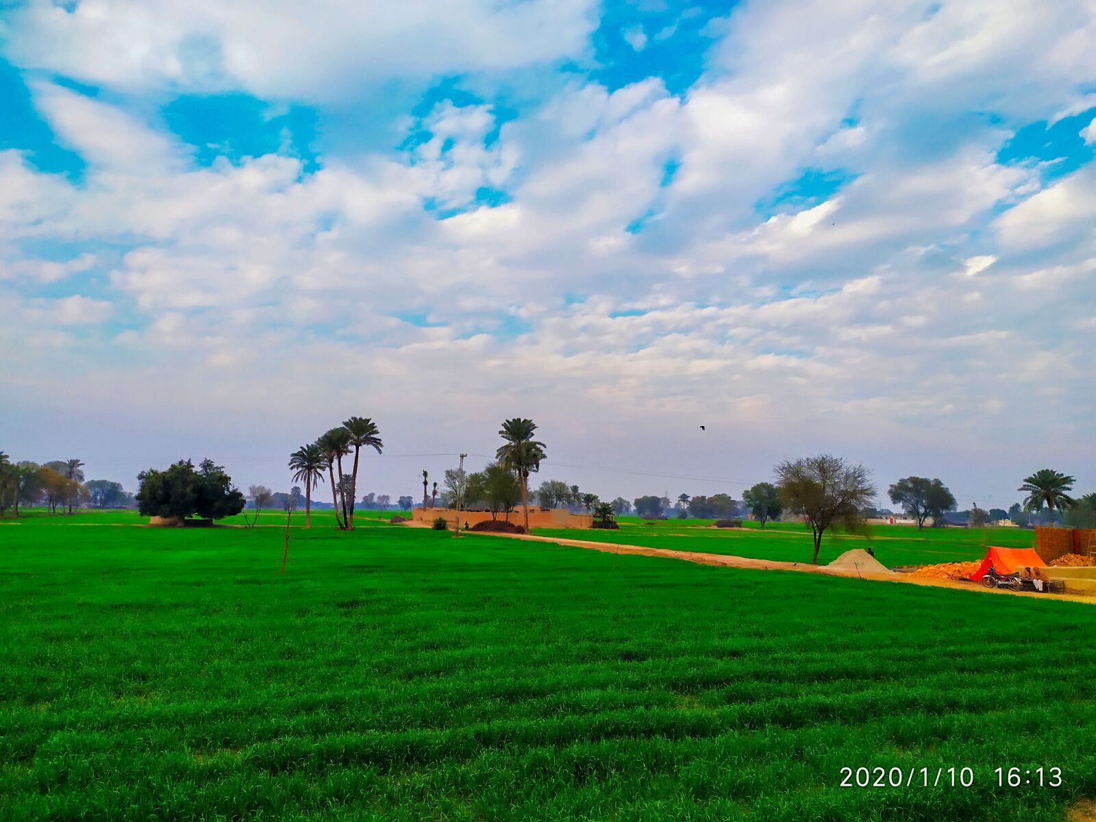 Xiaomi Redmi Note 7 sample photo. Nature, fields, countryside photography
