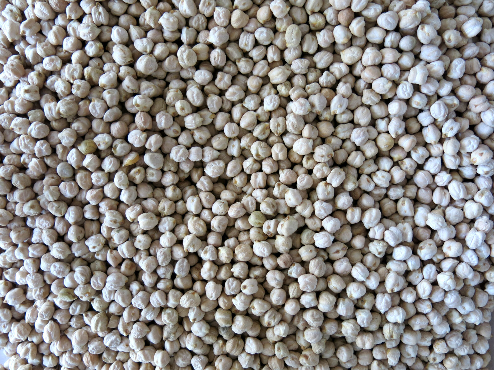 Canon PowerShot G15 sample photo. Chickpea photography