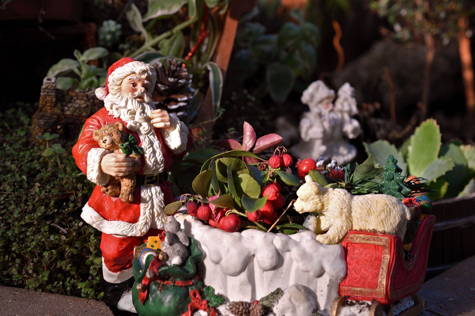 Nikon D3200 sample photo. Santa claus, sleigh, sled photography