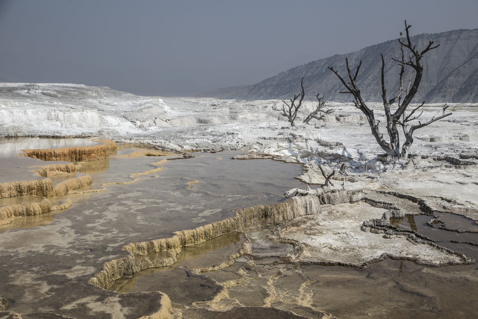 Canon EF 24-105mm F4L IS USM sample photo. Yellowstone, terraces, mammoth photography