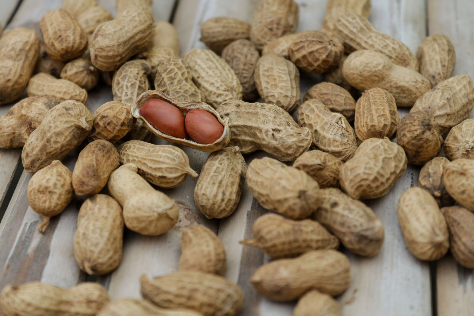 Canon EOS 650D (EOS Rebel T4i / EOS Kiss X6i) sample photo. Food, healthy, dry, pattern photography