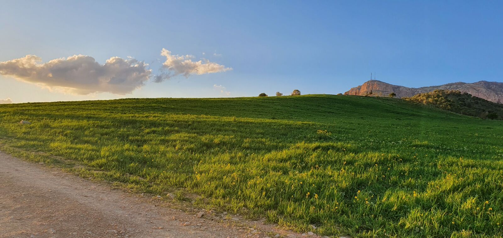 Samsung Galaxy S10+ sample photo. Fields, land, road photography