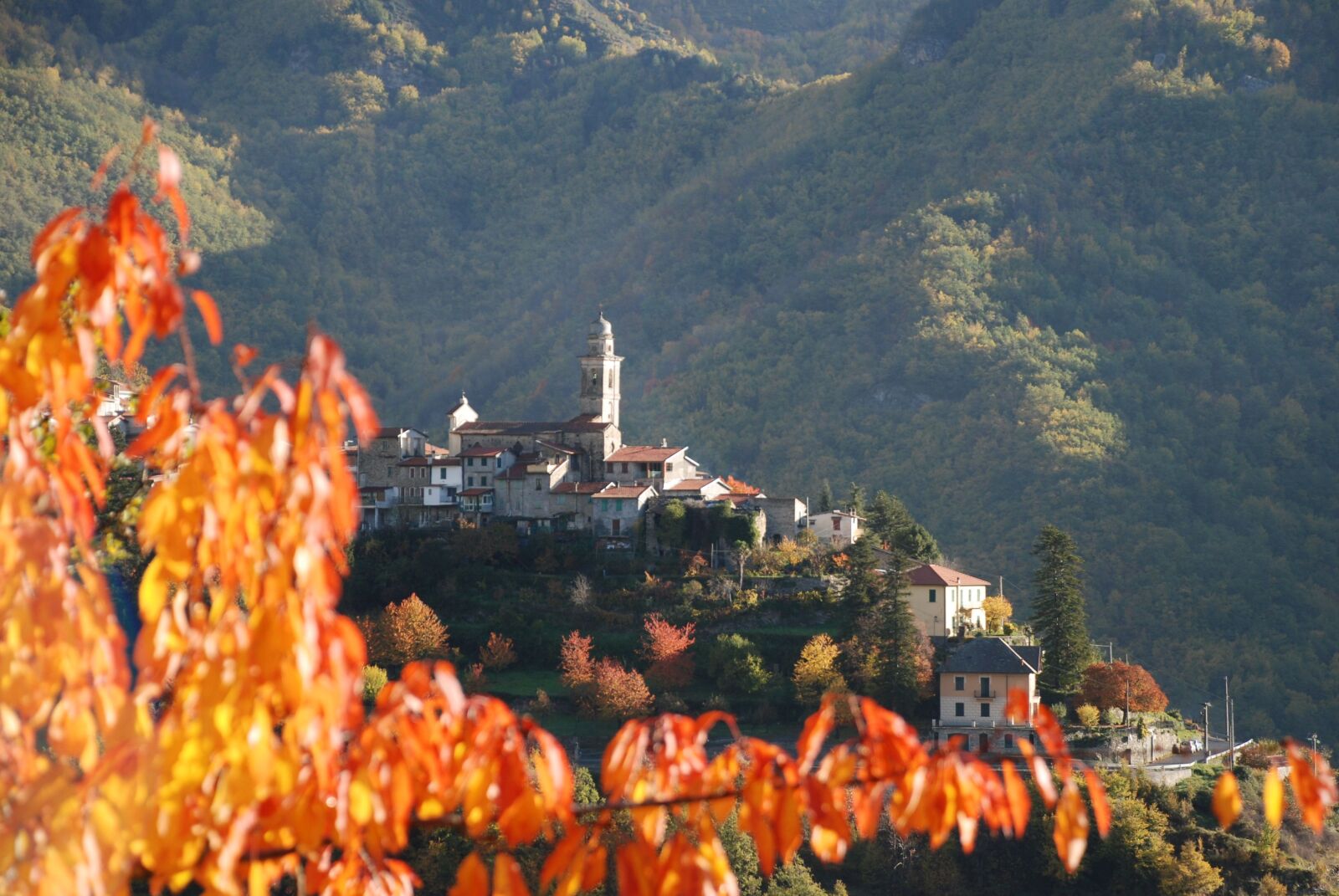 Nikon D80 sample photo. Autumn, borgo, liguria photography
