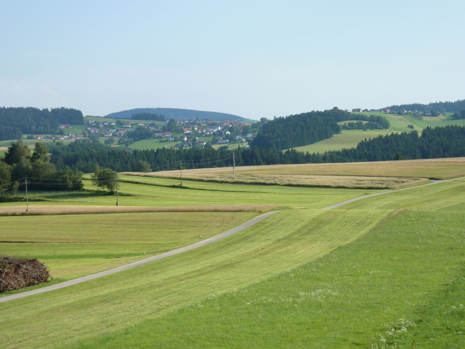 Panasonic DMC-TZ7 sample photo. Landscape, meadow, nature photography