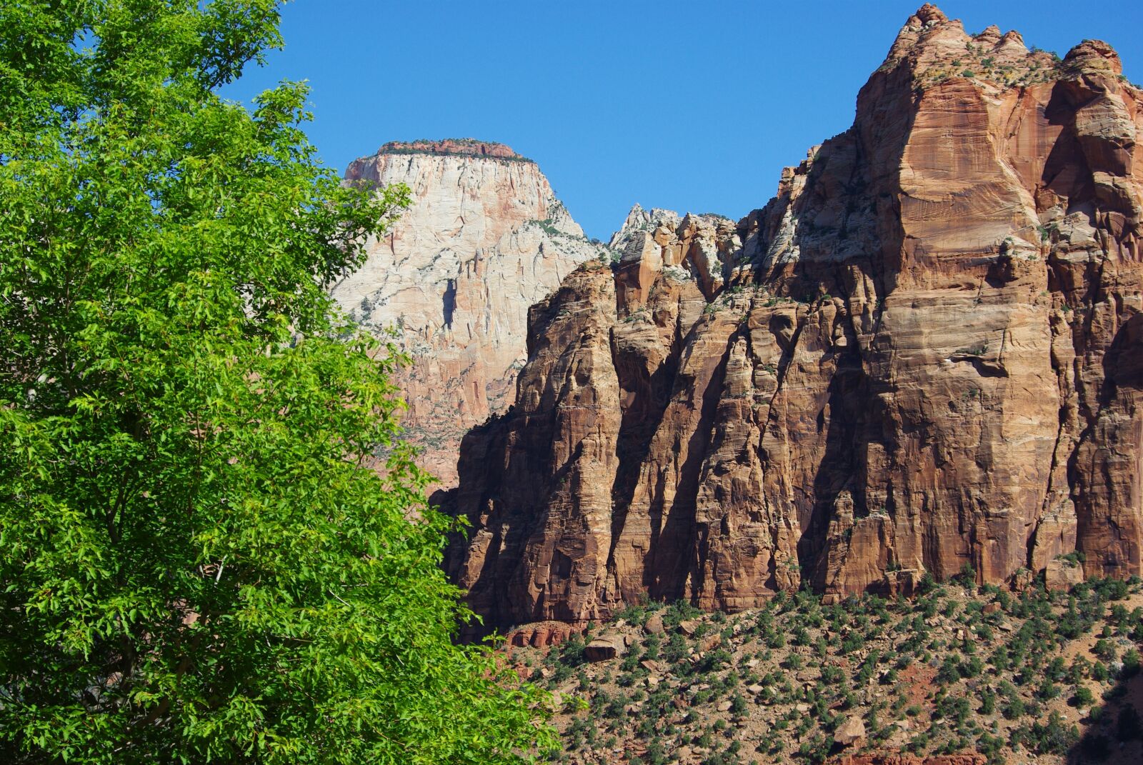Pentax K200D sample photo. Zion, utah, national park photography