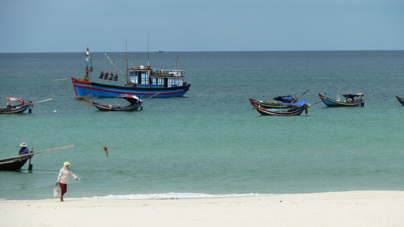 Panasonic Lumix DMC-ZS7 (Lumix DMC-TZ10) sample photo. Sea, fish, blue photography