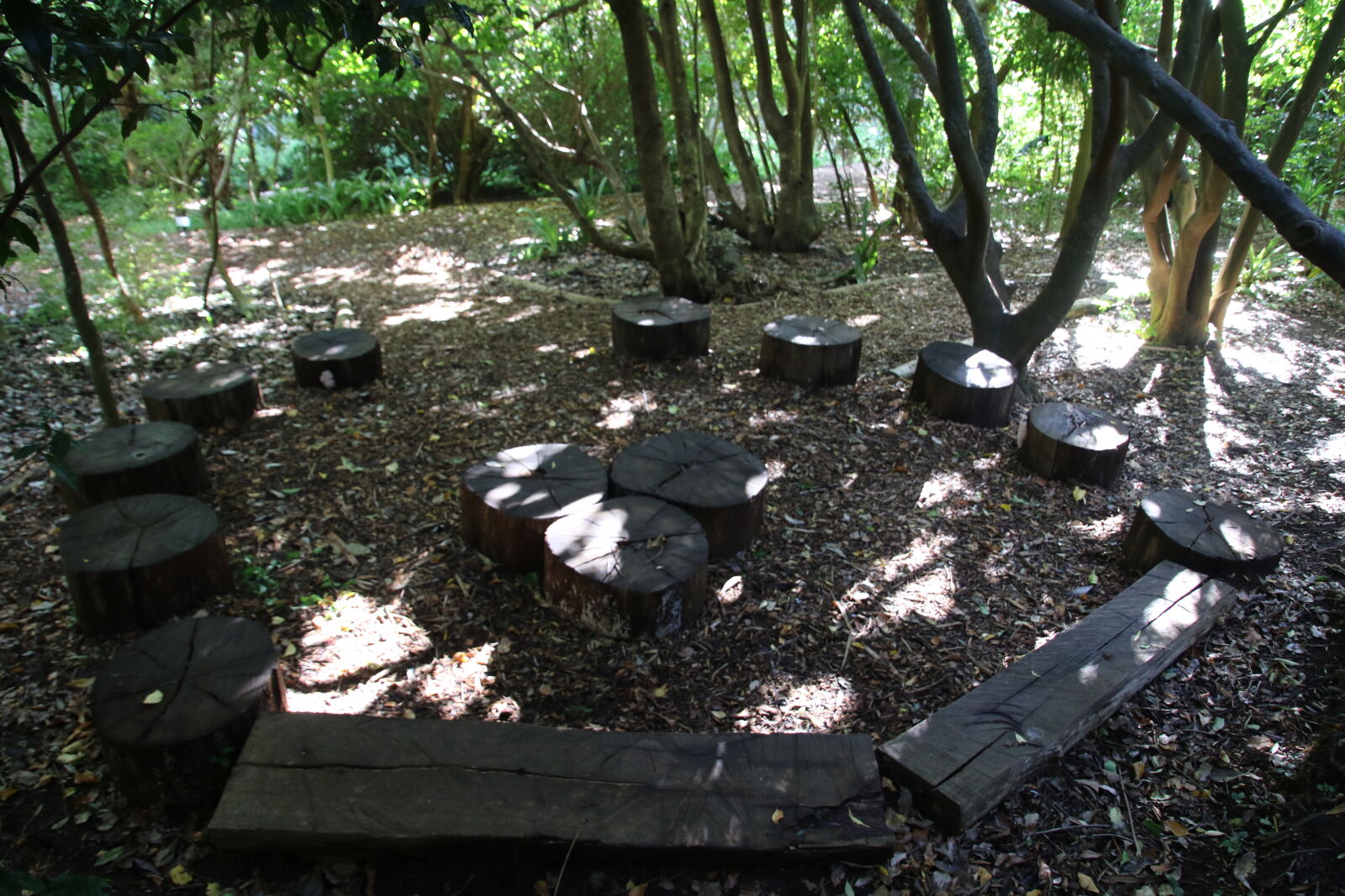 Canon EOS 7D Mark II sample photo. Elves, forest, garden, sit photography