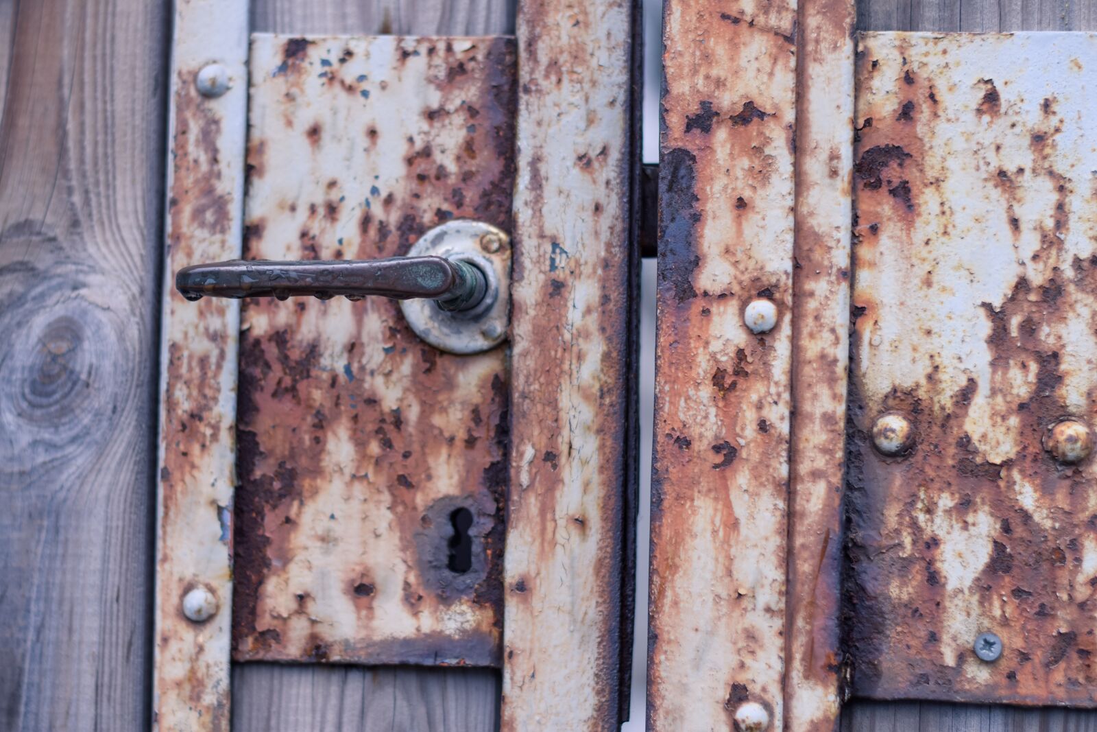 Nikon D5300 sample photo. Door, old, rusty photography