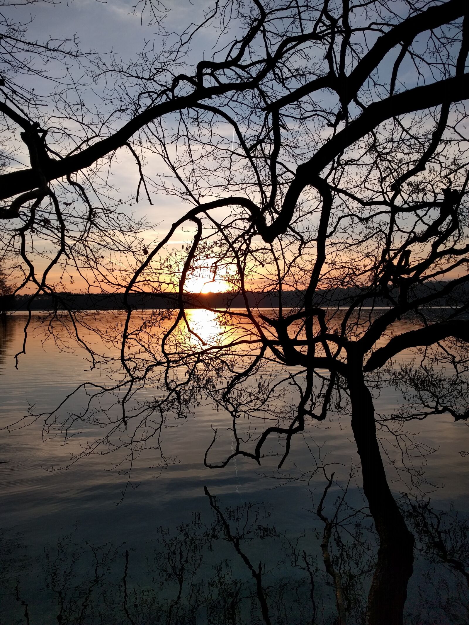 LG Nexus 5X sample photo. Sunset, lake, tree photography