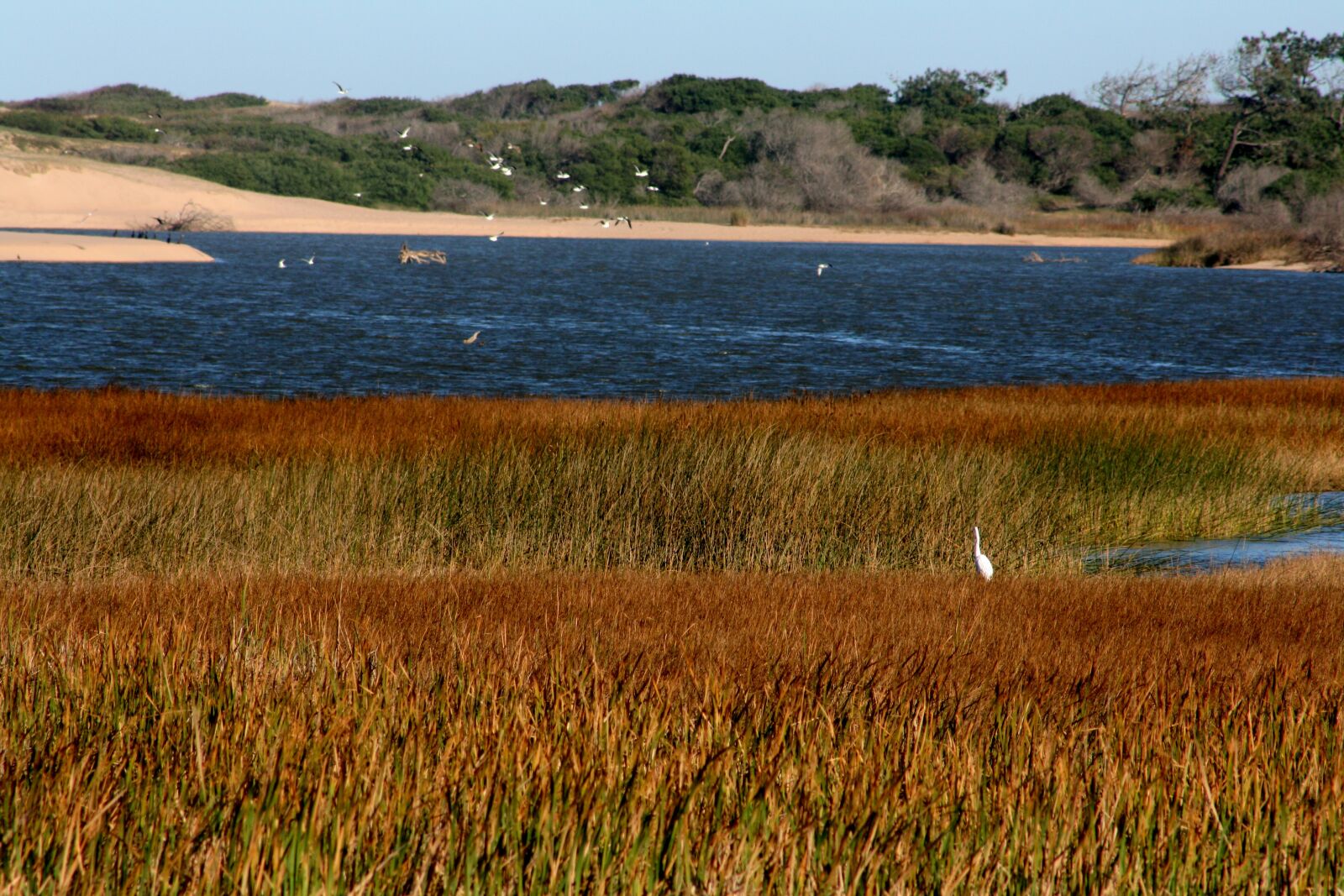 Canon EOS 400D (EOS Digital Rebel XTi / EOS Kiss Digital X) sample photo. Lagoon, sandy, nature photography