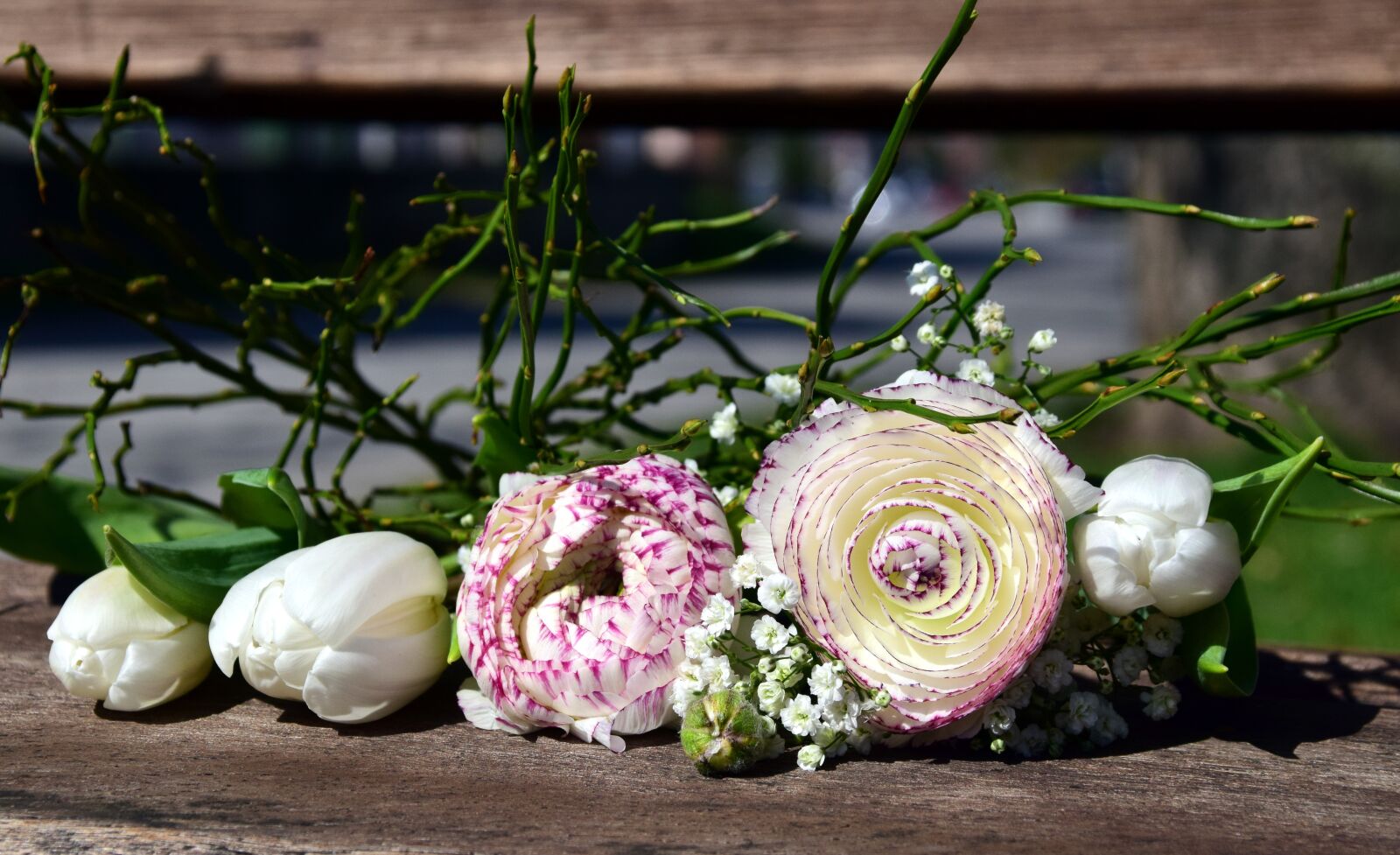 Nikon D3300 sample photo. Flowers, ranunculus, blossom photography