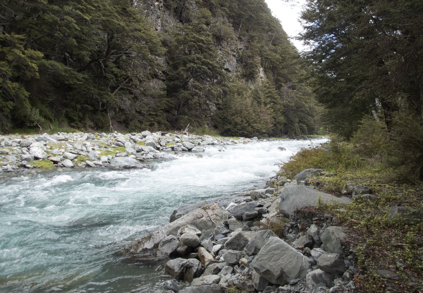 Olympus TG-5 sample photo. New zealand, river, water photography