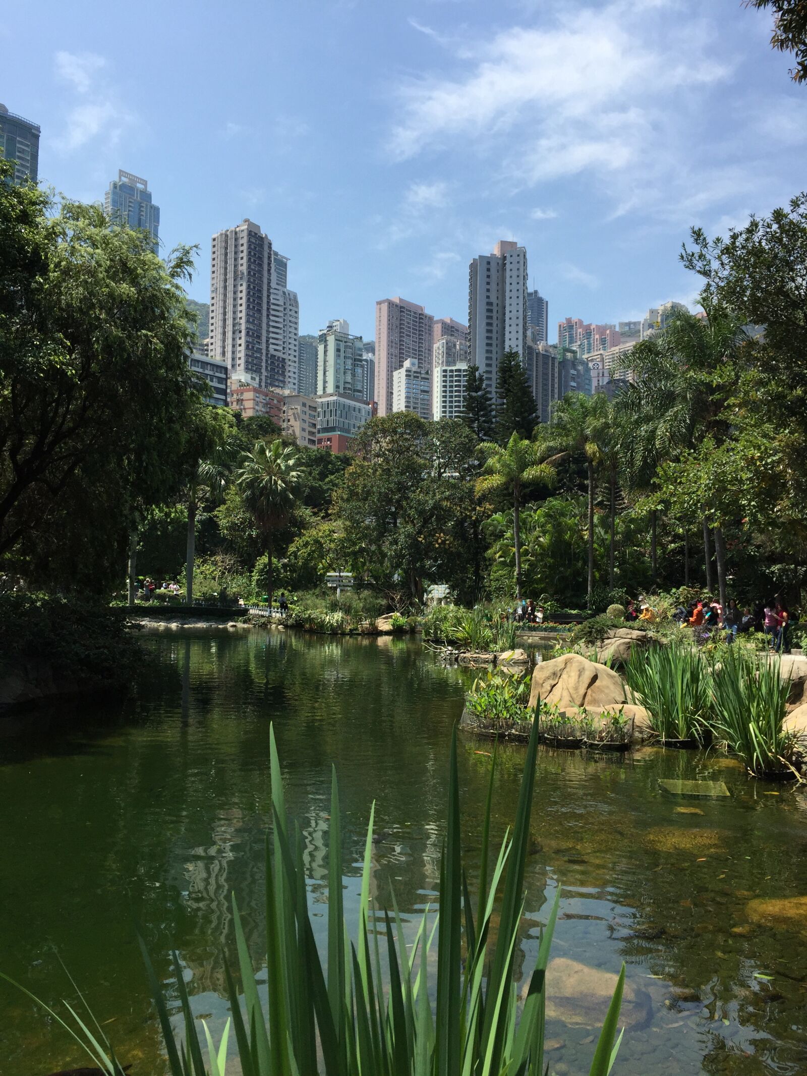 Apple iPhone 6 sample photo. Hong kong, park, pond photography
