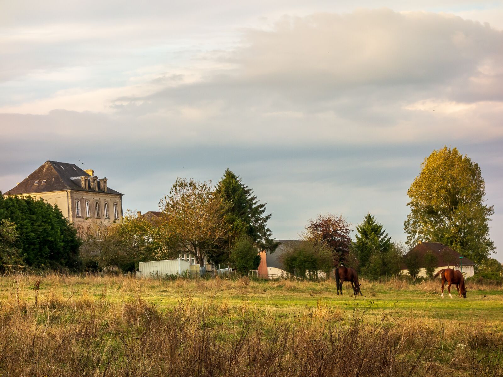 Sony Cyber-shot DSC-RX100 sample photo. Landscape, france, normandy photography