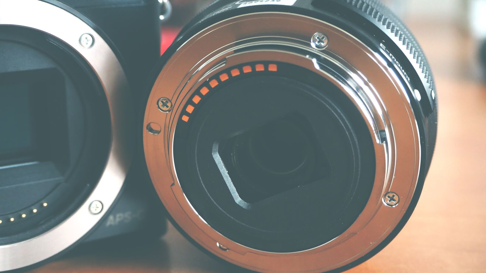 Olympus OM-D E-M10 II sample photo. Camera, classic, round photography