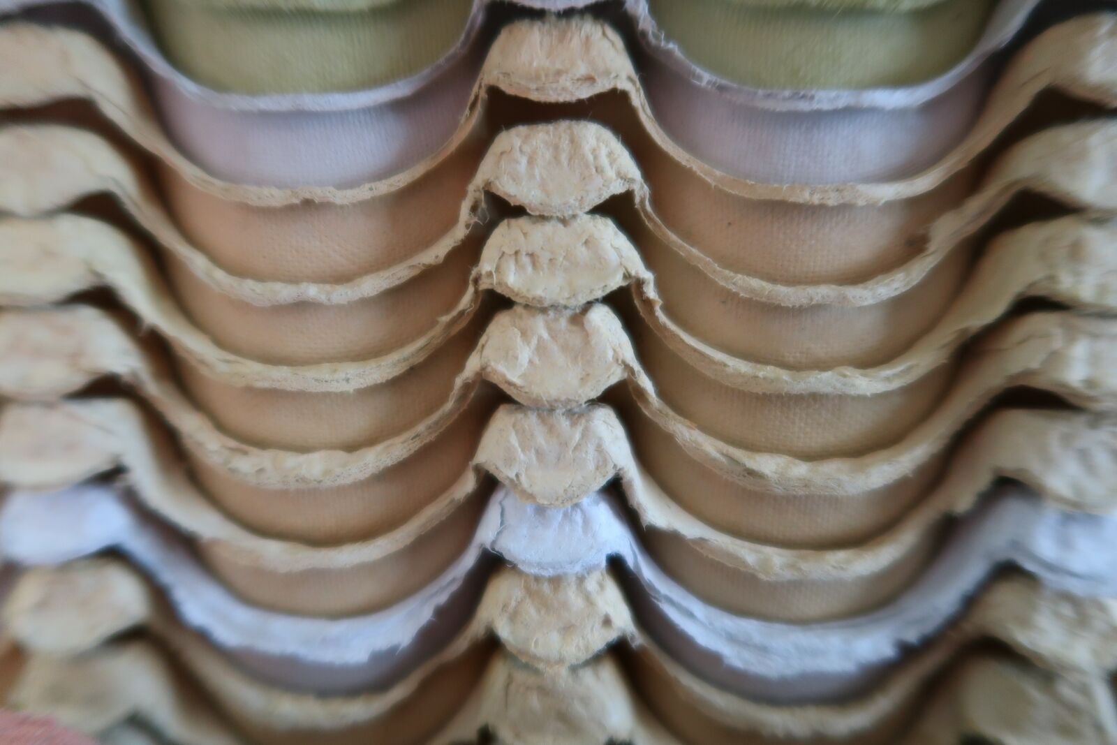 Canon PowerShot G7 X Mark II sample photo. Egg carton, graphically, abstract photography