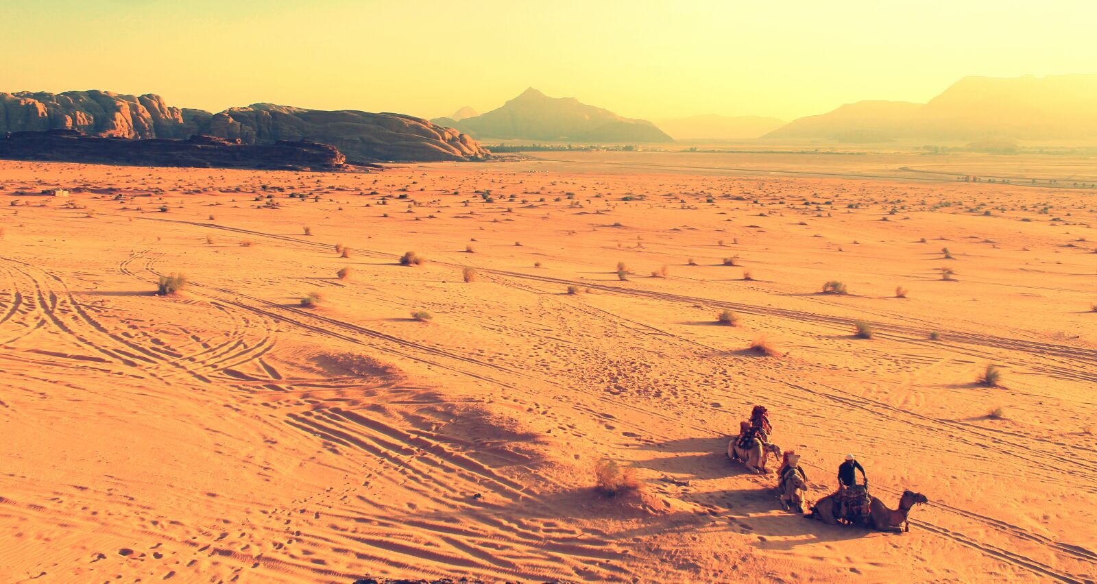 Canon EOS 1100D (EOS Rebel T3 / EOS Kiss X50) sample photo. Africa, camels, desert photography