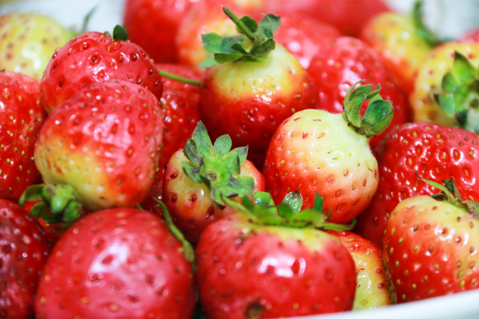 Canon EF-S 18-200mm F3.5-5.6 IS sample photo. Vegetables, fruit, strawberries photography