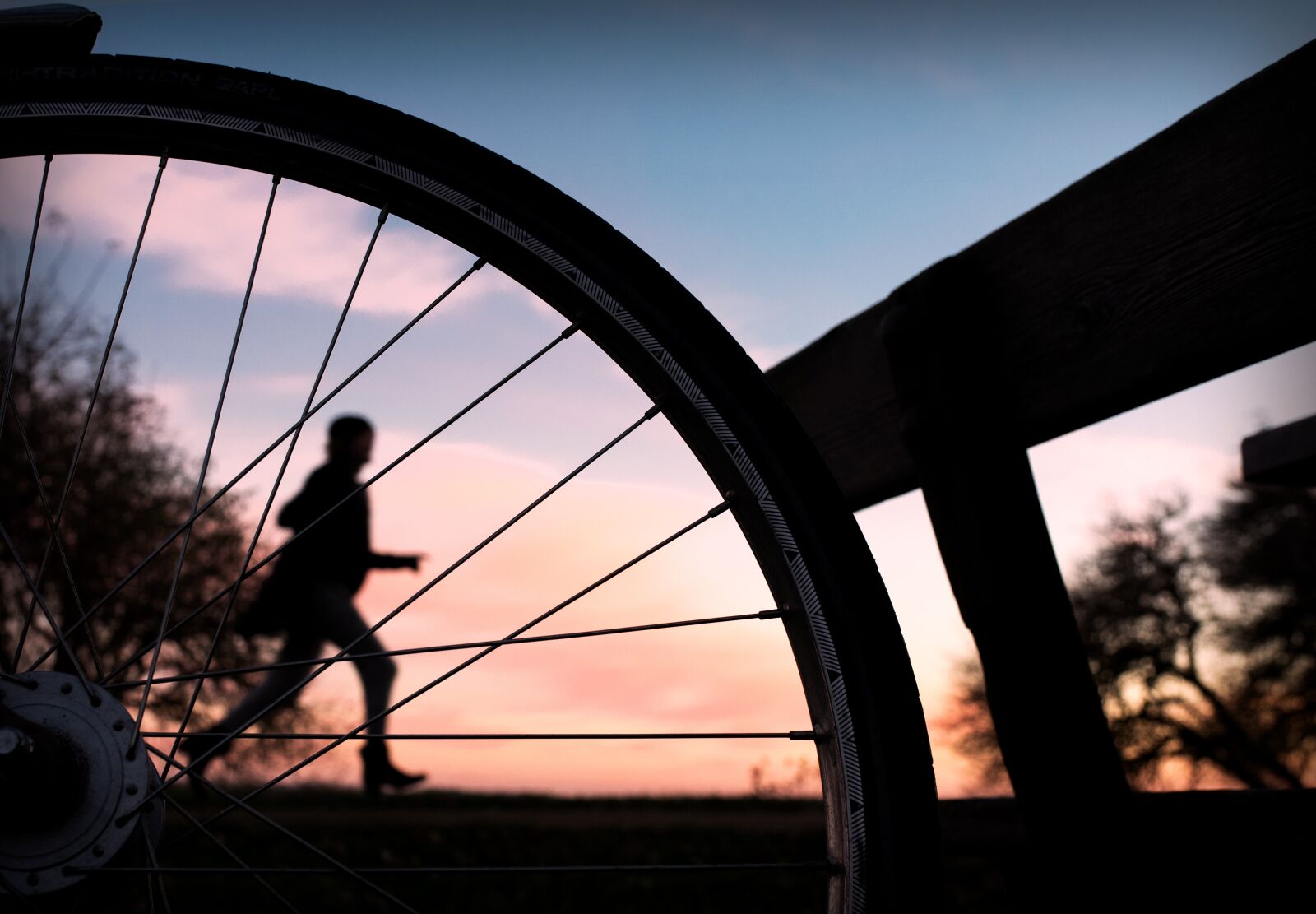 Nikon D750 sample photo. Jogging, sunset, bike photography