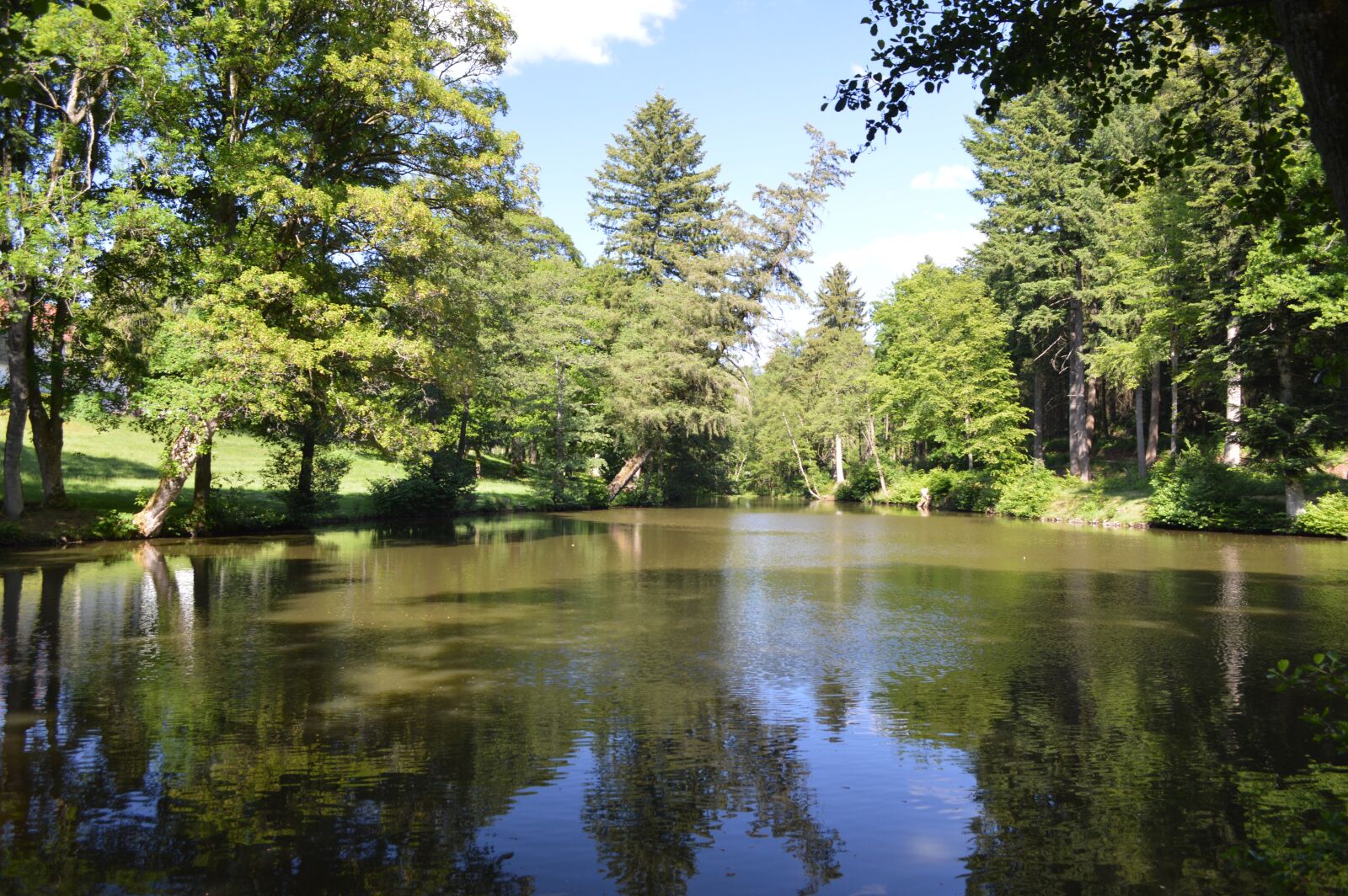 Nikon D3200 sample photo. Hofgut imsbach, pond, parklandschaft photography