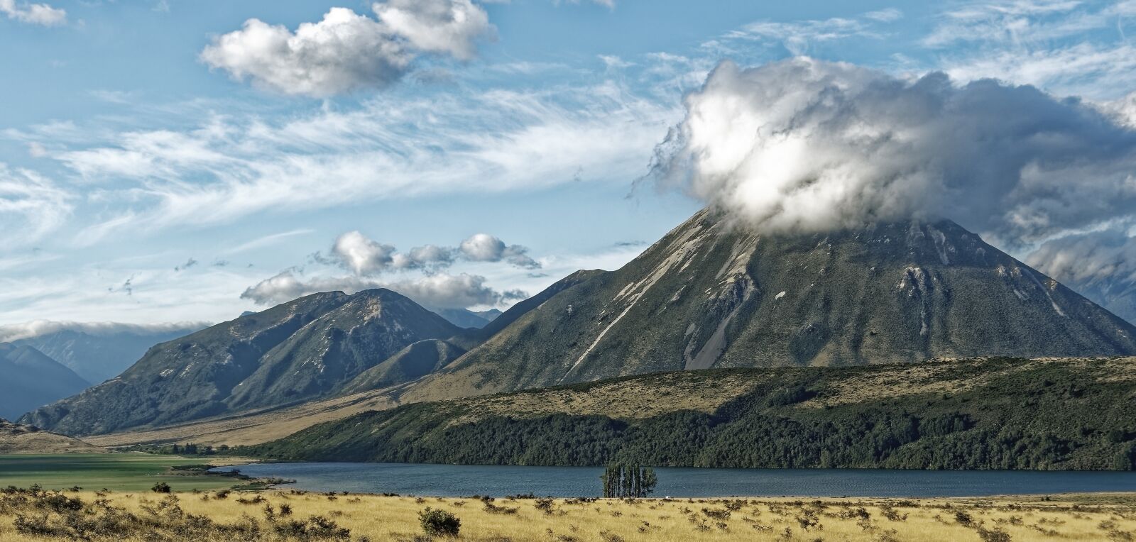 Nikon D500 sample photo. New zealand, craigieburn forest photography