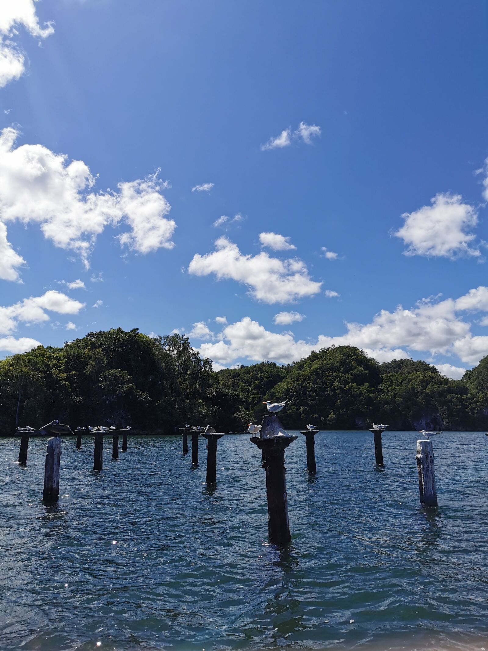 HUAWEI P30 Pro sample photo. Dominicanrepublic, republicadominicana, dominikana photography