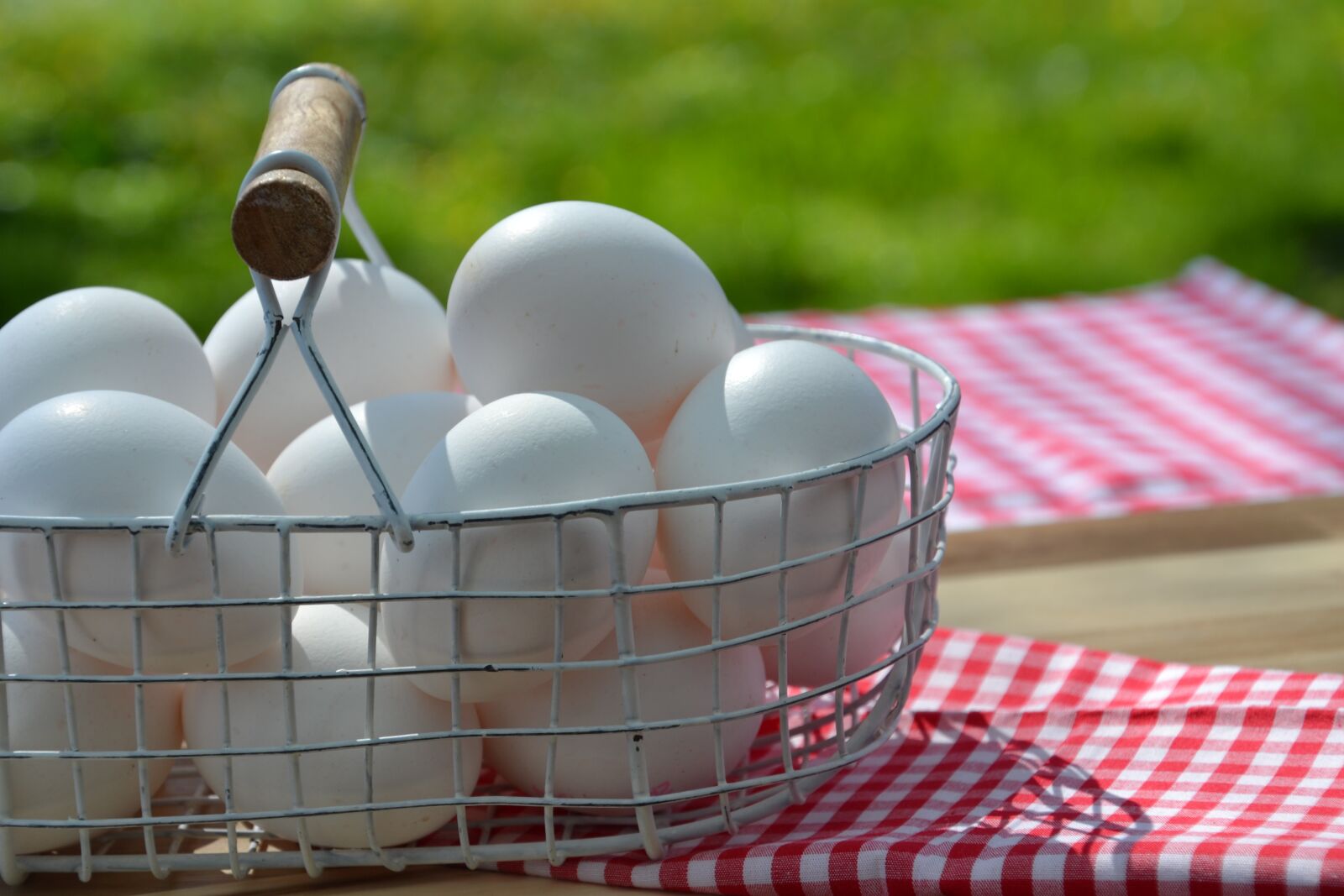 Nikon D3100 sample photo. Egg, white, hen's egg photography