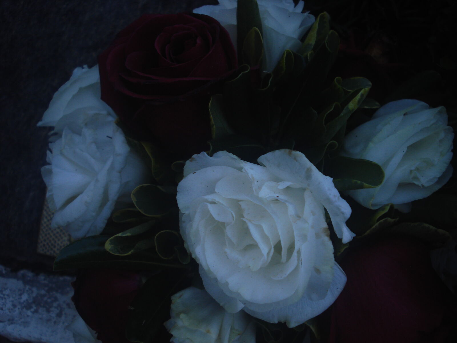 Sony DSC-W35 sample photo
