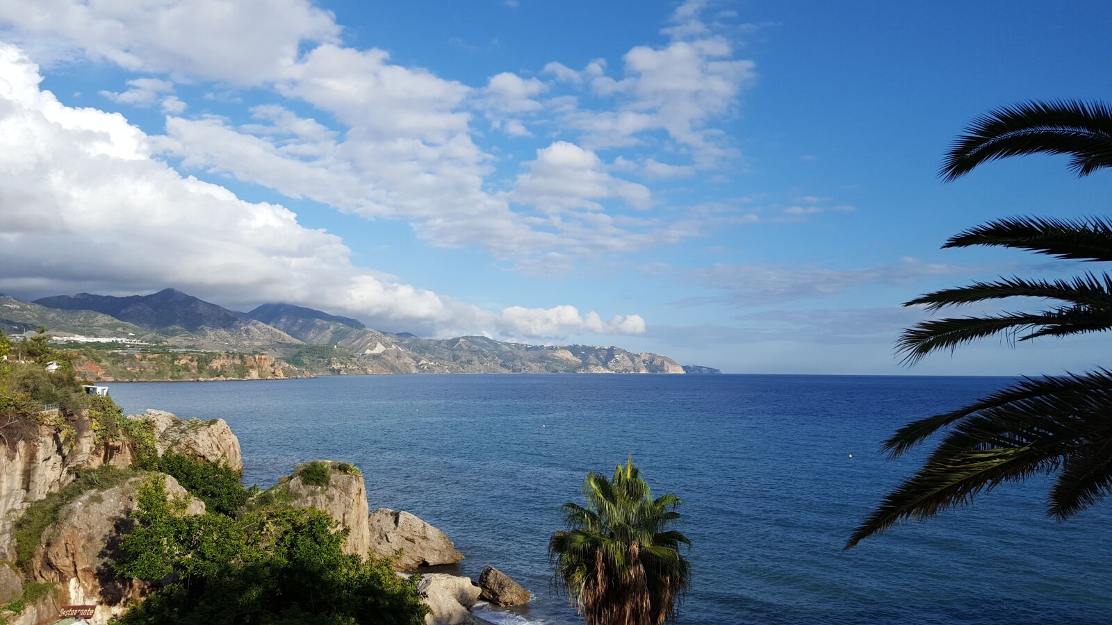 Samsung Galaxy S6 sample photo. Mediterranean, palm, tree photography