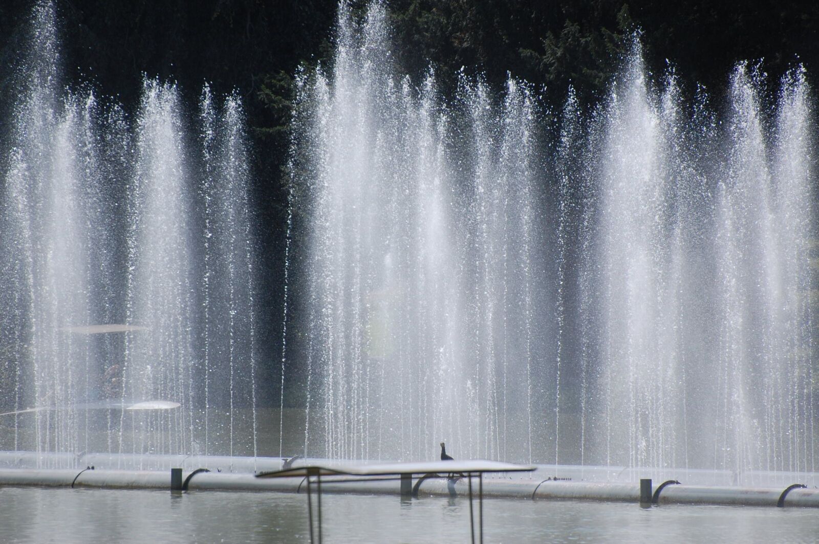 Nikon D40 sample photo. Water fountain, water feature photography