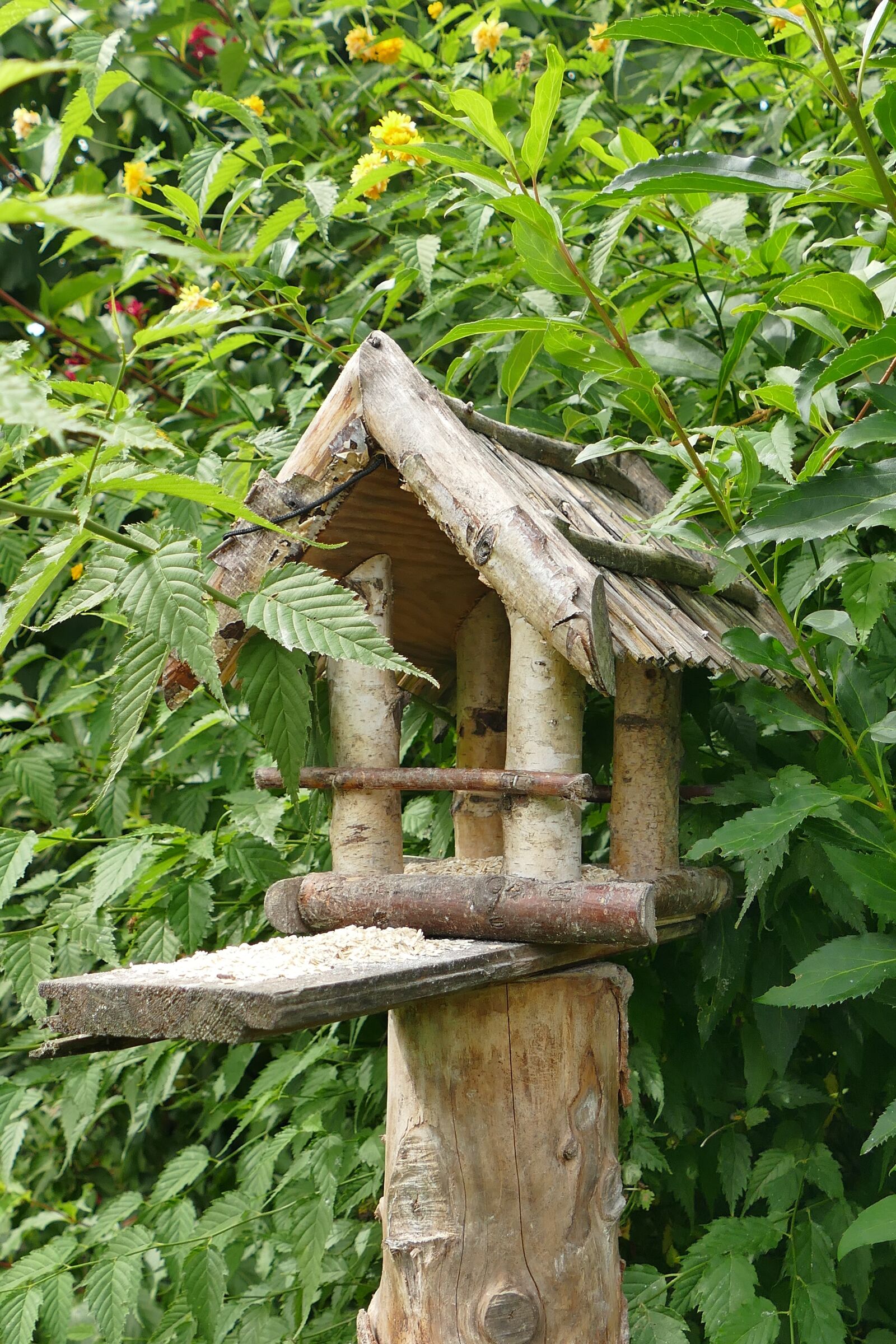 Panasonic Lumix DMC-FZ1000 sample photo. Aviary, wood, hand labor photography