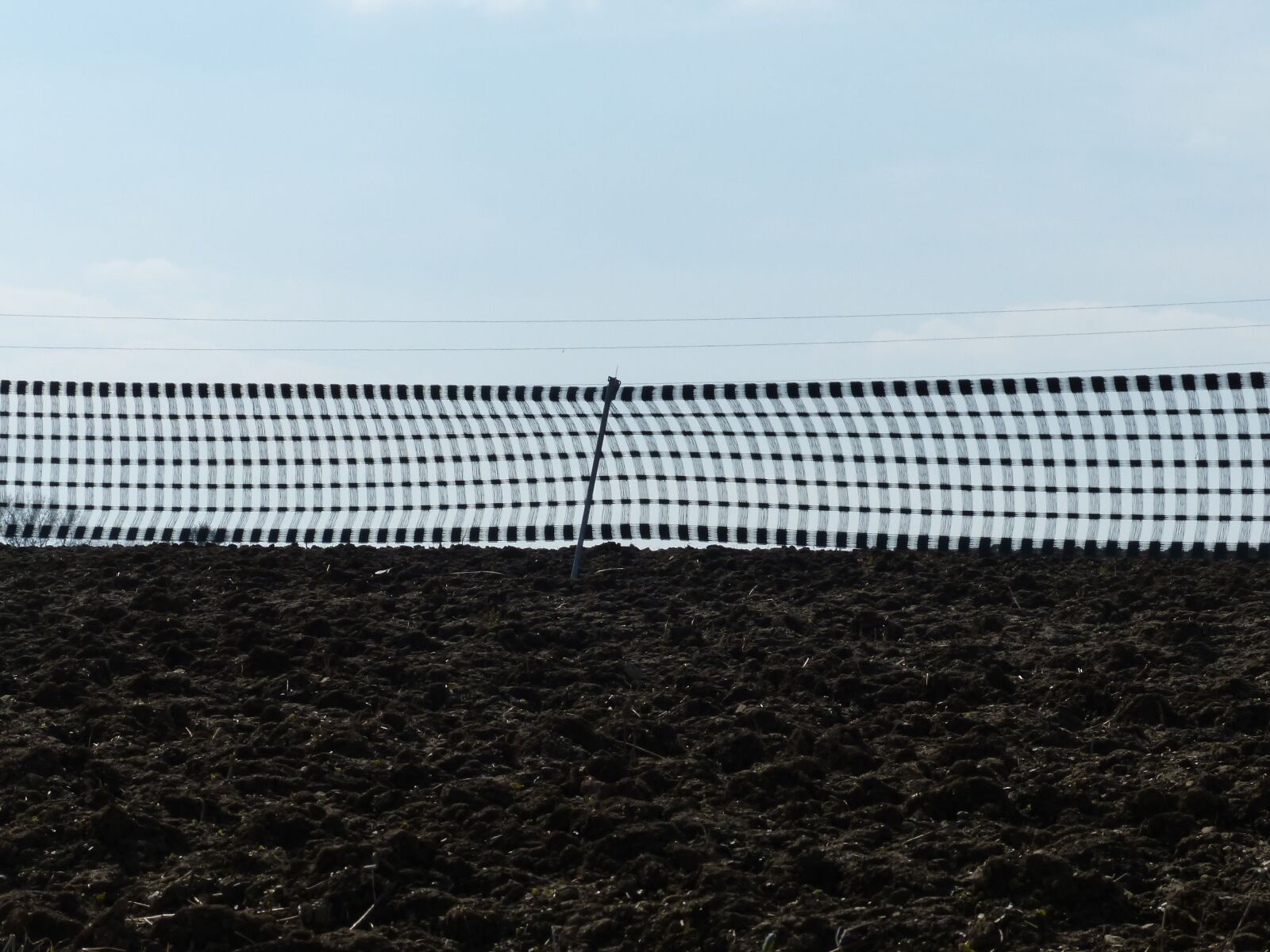 Panasonic Lumix DMC-FZ200 sample photo. Snow fence, fence, braid photography