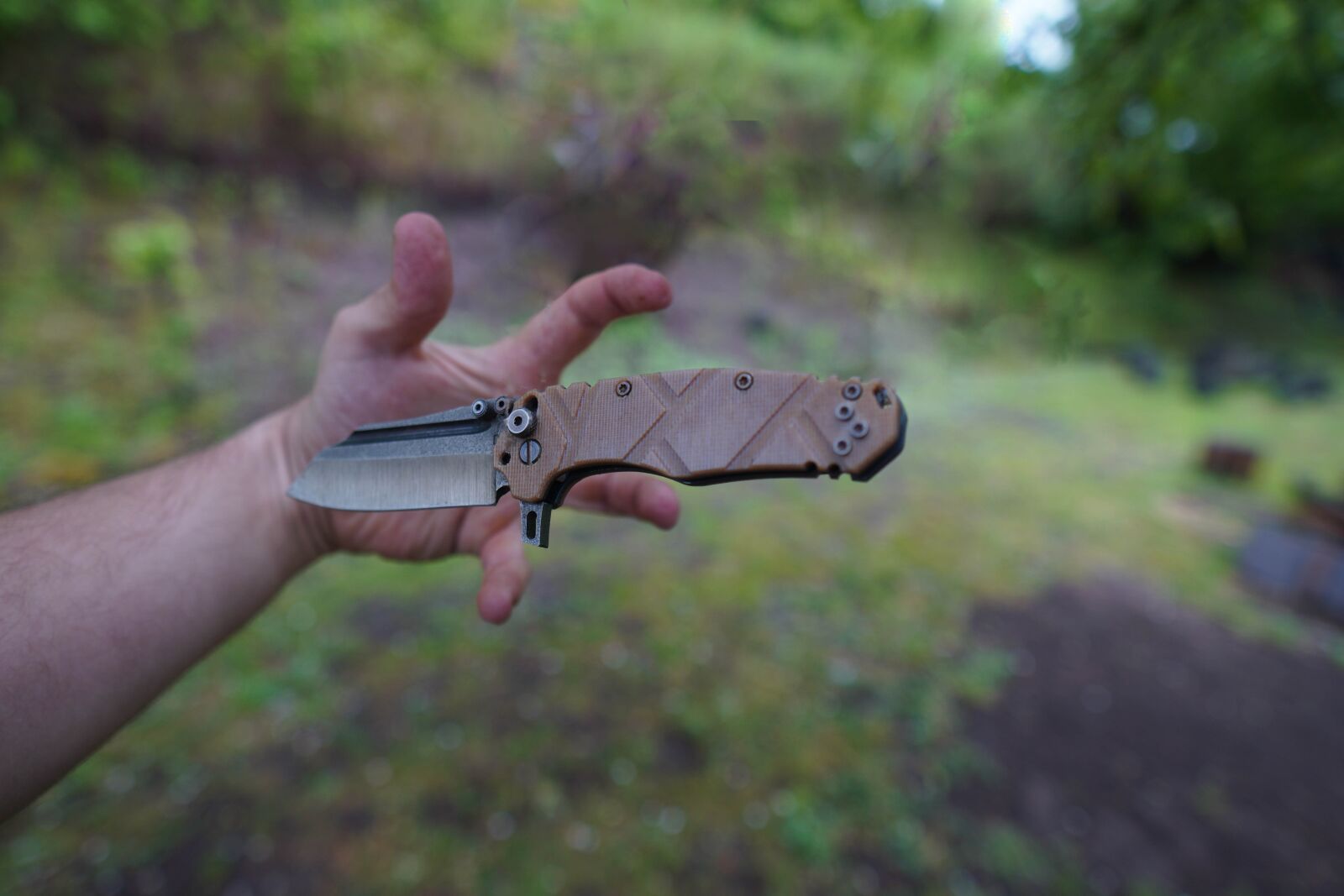 Sony a6400 + Sigma 16mm F1.4 DC DN | C sample photo. Knife, nature, green photography