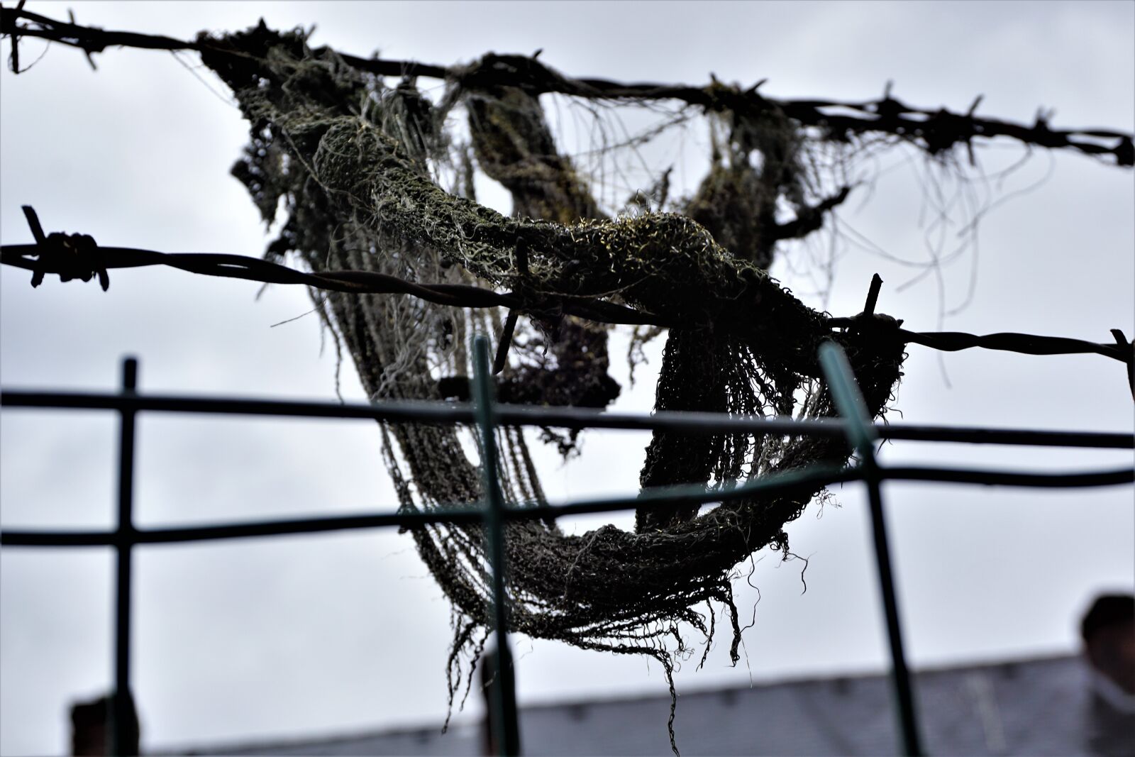 Sony a6000 sample photo. Wire, sky, danger photography