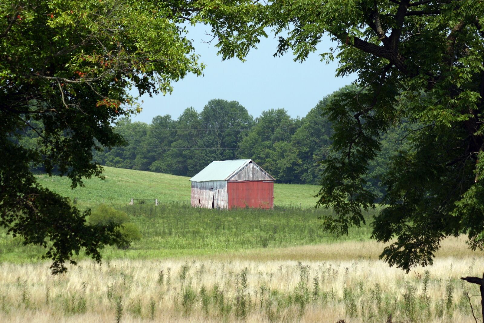 Canon EOS 300D (EOS Digital Rebel / EOS Kiss Digital) sample photo. Barn, landscape, farm photography