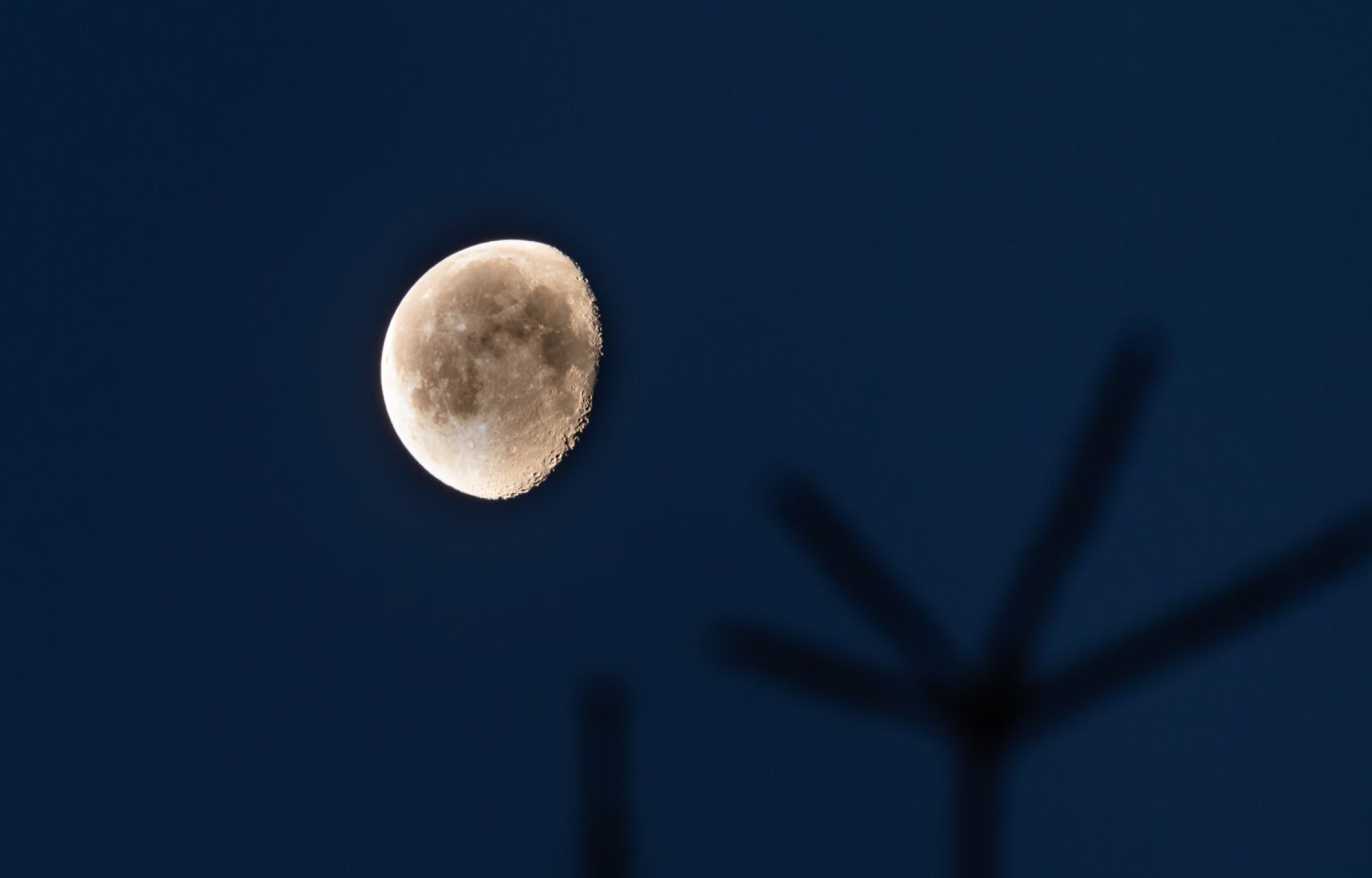 Nikon D750 sample photo. Moon, slimming, illuminated photography